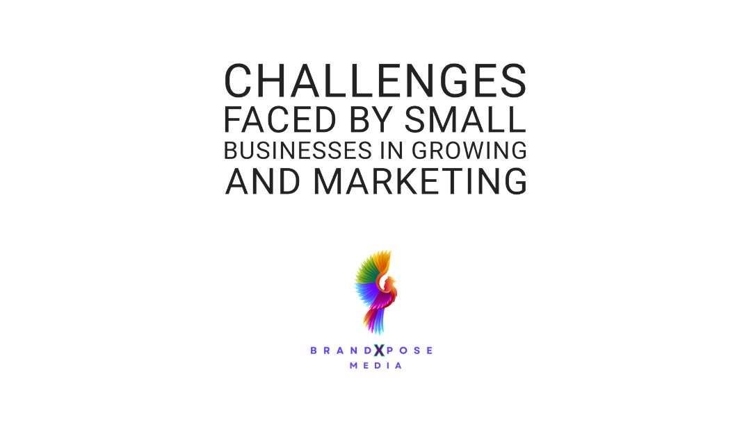 Challenges faced by businesses to grow and marketing