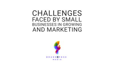 Challenges that Small Businesses face when trying to Grow.